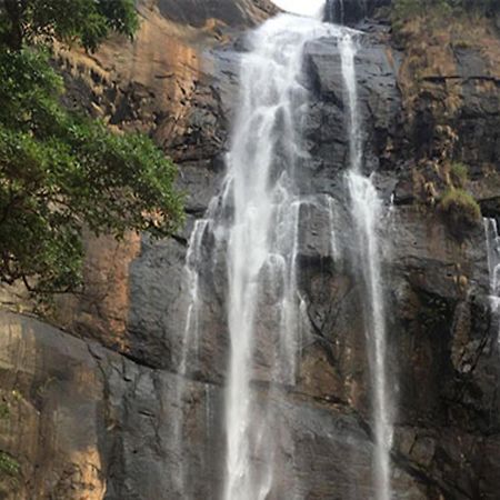 Coastal Grand Mahendravanam - Kolli Hills Extérieur photo