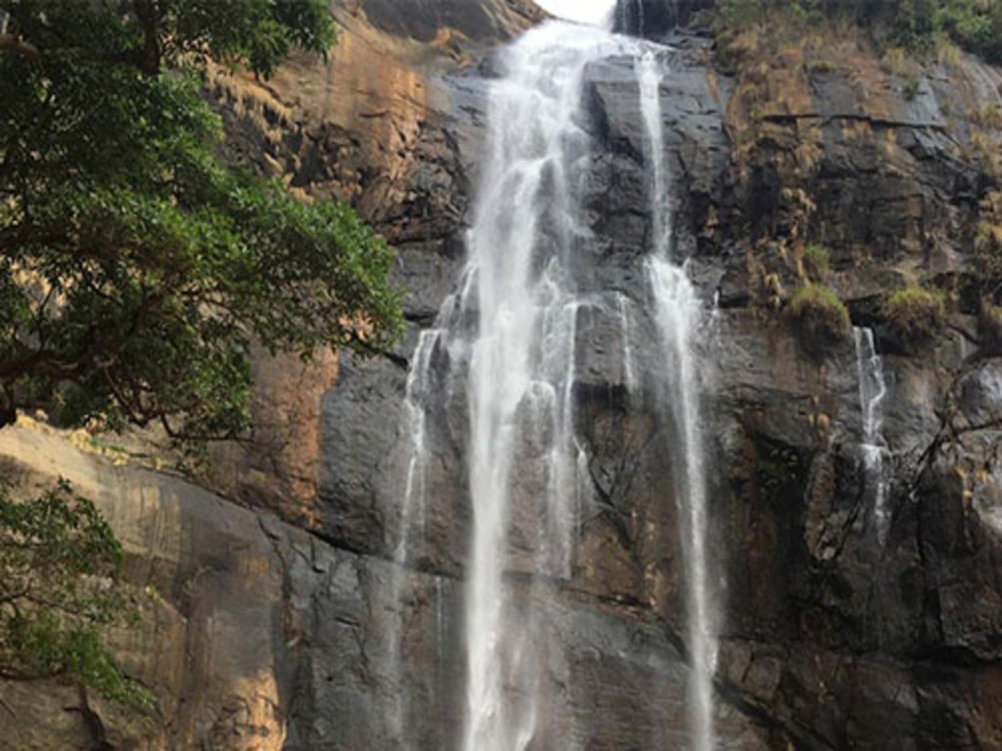 Coastal Grand Mahendravanam - Kolli Hills Extérieur photo