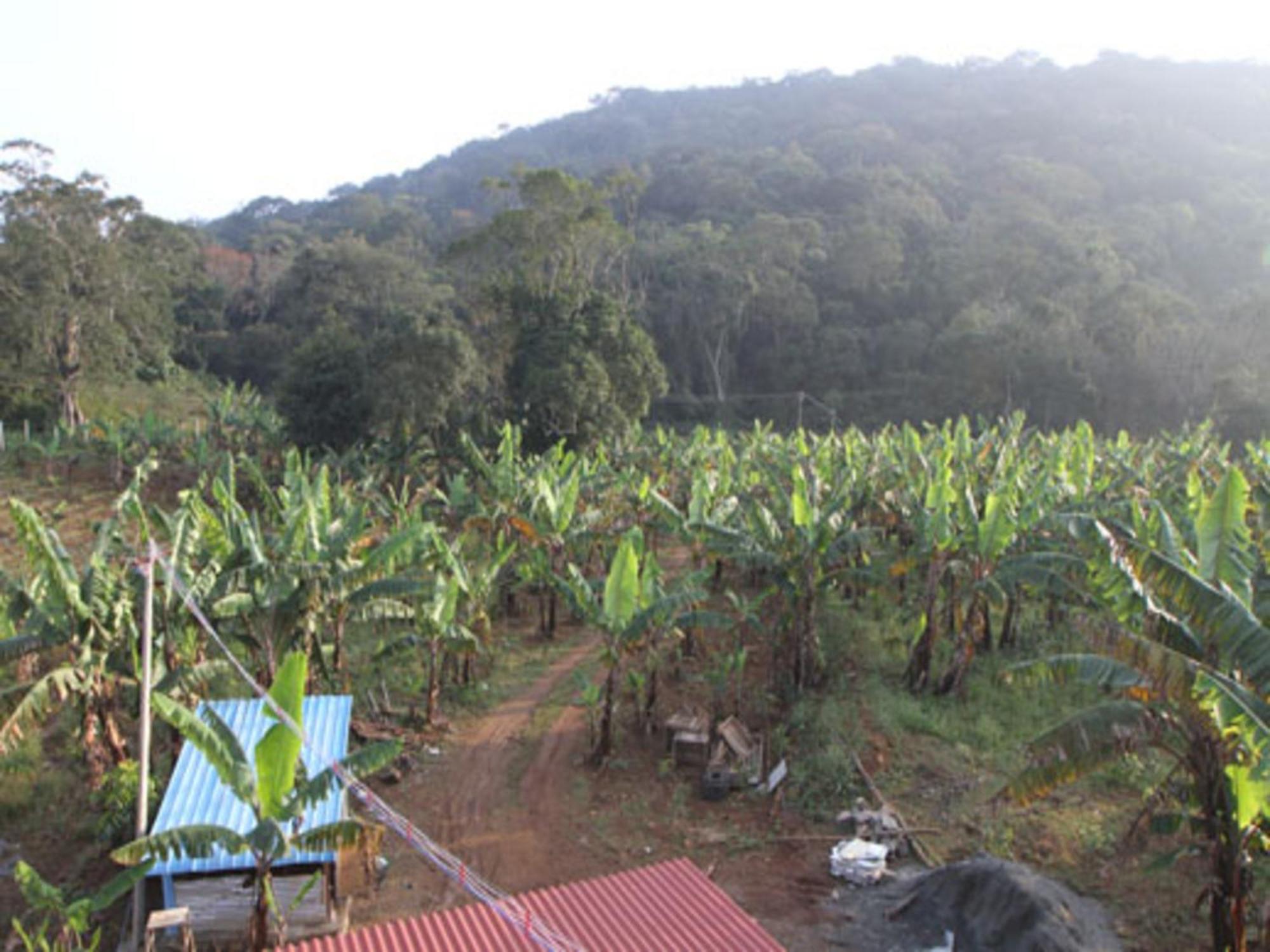 Coastal Grand Mahendravanam - Kolli Hills Extérieur photo